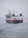 Sistership Lyngen